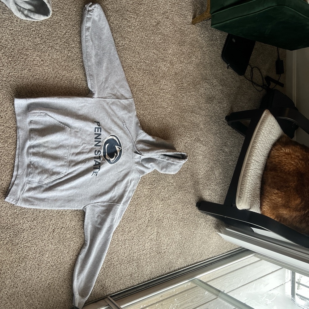 Fanatics Gray Hoodie with Penn State Logo